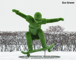 Топиари Скейтер - газон Eco, фото 5