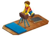 Козёл гимнастический (стандарт)