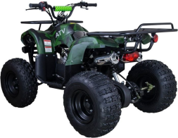 Квадроцикл RAPTOR 8 ATV125UF Classic 125CC 4Т, фото 7