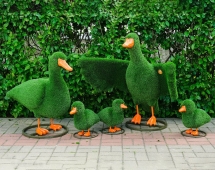 Топиари композиция Утки - газон Eco