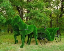 Топиари композиция Карета с лошадьми - газон Deluxe Топиари композиция Карета с лошадьми - газон Deluxe