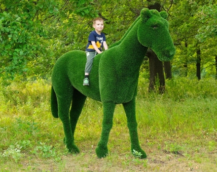 Топиари композиция Карета с лошадьми - газон Deluxe, фото 6