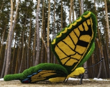 Топиари бабочка Искорка - газон Eco Топиари бабочка Искорка - газон Eco