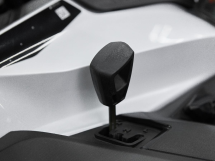 Снегоход BRP Ski-Doo Expedition LE 20″ 900 Ace (2023)