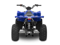 Квадроцикл SHARMAX Cross 200 (2024), фото 10 Квадроцикл SHARMAX Cross 200 (2024), фото 10