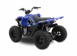 Квадроцикл SHARMAX Cross 200 (2024), фото 8 Квадроцикл SHARMAX Cross 200 (2024), фото 8