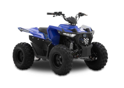 Квадроцикл SHARMAX Cross 200 (2024), фото 4 Квадроцикл SHARMAX Cross 200 (2024), фото 4