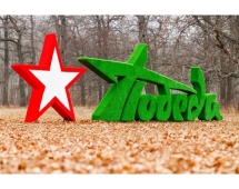 Топиари стела Победа со звездой I - газон Eco Топиари стела Победа со звездой I - газон Eco