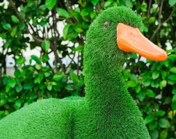 Топиари утка Кряша - газон Eco, фото 4