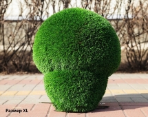 Топиари гриб Шампиньон, размер S - газон Deluxe