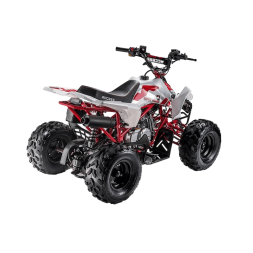 Квадроцикл ACCESS AMS 110 MiniSport, фото 3