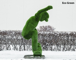 Топиари Скейтер - газон Eco Green, фото 3