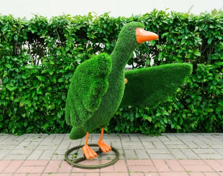 Топиари утка Кряк - газон Eco, фото 1