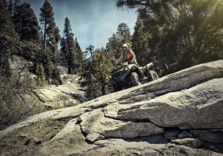 Квадроцикл BRUTE FORCE 750 4X4I EPS Camo (ПСМ), фото 6