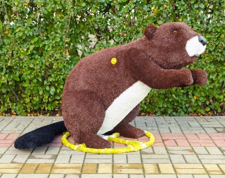 Топиари композиция Бобры - газон Eco, фото 2