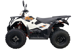 Квадроцикл KAYO AU300 Carb, фото 2 Квадроцикл KAYO AU300 Carb, фото 2