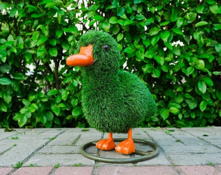 Топиари Утенок - газон Eco, фото 1