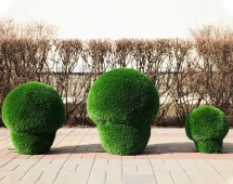 Топиари гриб Шампиньон, размер XL - газон Deluxe