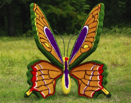 Топиари бабочка Королева III На земном шаре - газон Eco, фото 2