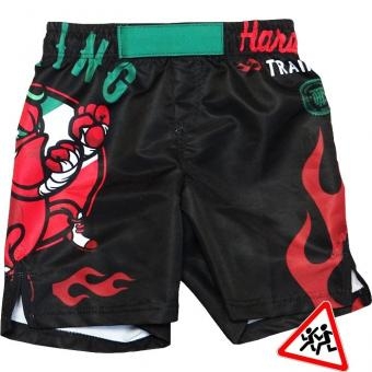 Шорты Hardcore Training hctshorts024, фото 1