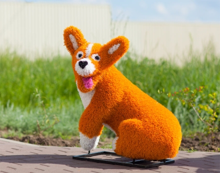 Топиари &quot;Корги мультяшный&quot;, фото 1