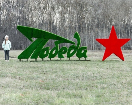 Топиари стела Победа со звездой - газон Eco+, фото 2