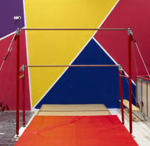 Жерди олимпийские женские углепластиковые для разновысоких брусьев Жерди олимпийские женские углепластиковые для разновысоких брусьев