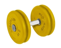 Гантель обрезиненная "PROFIGYM" с хромированной ручкой 21 кг, цветная ГНЦ -21 Гантель обрезиненная "PROFIGYM" с хромированной ручкой 21 кг, цветная ГНЦ -21