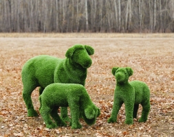 Топиари композиция Ягнята и Овечка - газон Deluxe, фото 1