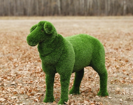 Топиари композиция Ягнята и Овечка - газон Deluxe, фото 3
