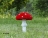 Топиари гриб Мухомор стройный, h=65 см - газон Eco