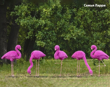 Топиари композиция фламинго розовый, семья Елизи, 7 шт - газон Eco, фото 3