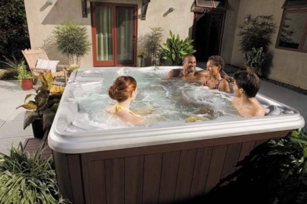 спа-бассейн Sundance Spas Certa, фото 4