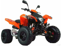 Квадроцикл ADLY ATV 500 S On Road