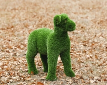 Топиари ягненок Луко - газон Deluxe