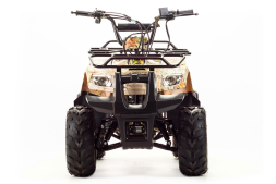 Квадроцикл MOTOLAND 110 Rider (2021 Г.), фото 8 Квадроцикл MOTOLAND 110 Rider (2021 Г.), фото 8