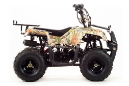 Квадроцикл MOTOLAND 110 Rider (2021 Г.), фото 6 Квадроцикл MOTOLAND 110 Rider (2021 Г.), фото 6