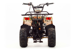 Квадроцикл MOTOLAND 110 Rider (2021 Г.), фото 4 Квадроцикл MOTOLAND 110 Rider (2021 Г.), фото 4