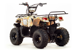 Квадроцикл MOTOLAND 110 Rider (2021 Г.), фото 3 Квадроцикл MOTOLAND 110 Rider (2021 Г.), фото 3