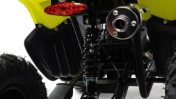 Квадроцикл MOTOLAND 125 Raptor, фото 11 Квадроцикл MOTOLAND 125 Raptor, фото 11