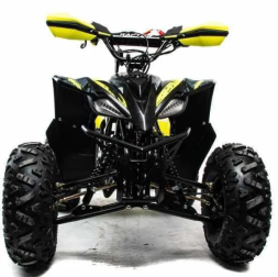 Квадроцикл MOTOLAND 125 Raptor, фото 8 Квадроцикл MOTOLAND 125 Raptor, фото 8