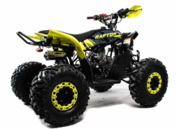 Квадроцикл MOTOLAND 125 Raptor, фото 5 Квадроцикл MOTOLAND 125 Raptor, фото 5