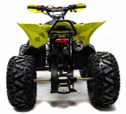 Квадроцикл MOTOLAND 125 Raptor, фото 4 Квадроцикл MOTOLAND 125 Raptor, фото 4