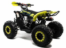 Квадроцикл MOTOLAND 125 Raptor, фото 3 Квадроцикл MOTOLAND 125 Raptor, фото 3