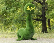 Топиари композиция Тюлени - газон Deluxe