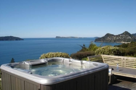 спа-бассейн Sundance Spas Optima, фото 3