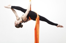 Полотно для Гимнастики (ткань полустрейч Габардин) Полотно для Гимнастики (ткань полустрейч Габардин)