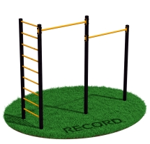 Уличный турник двойной + шведская стенка Record RW-2 профиль 60х60 х 2 мм