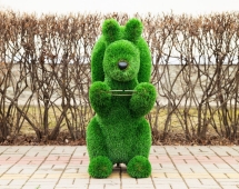 Топиари Белочка с кольцом под кашпо газон Eco