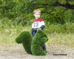 Топиари белочка Малышка - газон Eco, фото 8